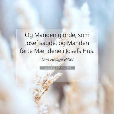 Picture 07 - 1 Mosebog 43:16 DA1871 - Og Manden gjorde, som Josef sagde; og Manden - Bible Verse Picture
