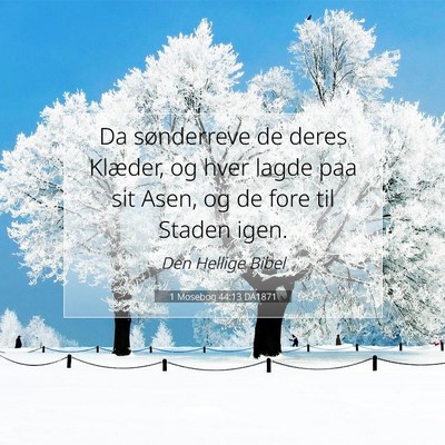 Picture 07 - 1 Mosebog 44:13 DA1871 - Da sønderreve de deres Klæder, og hver lagde - Bible Verse Picture