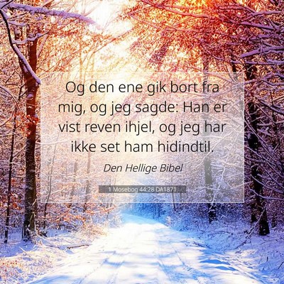 Picture 07 - 1 Mosebog 44:28 DA1871 - Og den ene gik bort fra mig, og jeg sagde: Han er - Bible Verse Picture