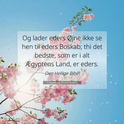 Picture 07 - 1 Mosebog 45:20 DA1871 - Og lader eders Øjne ikke se hen til eders - Bible Verse Picture