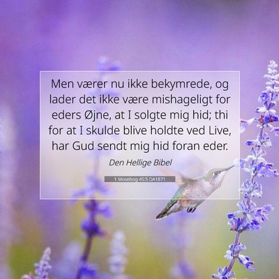 Picture 07 - 1 Mosebog 45:5 DA1871 - Men værer nu ikke bekymrede, og lader det ikke - Bible Verse Picture