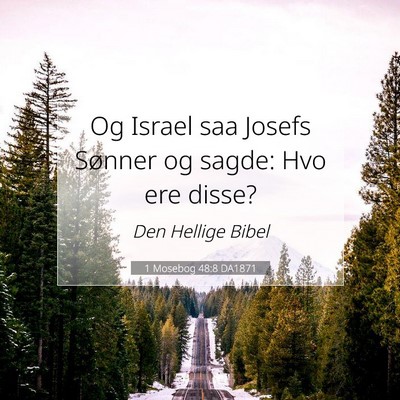 Picture 07 - 1 Mosebog 48:8 DA1871 - Og Israel saa Josefs Sønner og sagde: Hvo ere - Bible Verse Picture