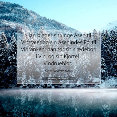 Picture 07 - 1 Mosebog 49:11 DA1871 - Han binder sit unge Asen til Vintræet og sin - Bible Verse Picture