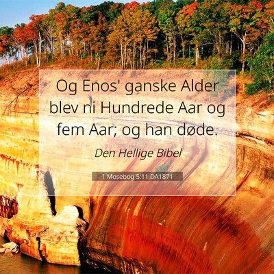 Picture 07 - 1 Mosebog 5:11 DA1871 - Og Enos' ganske Alder blev ni Hundrede Aar og fem - Bible Verse Picture