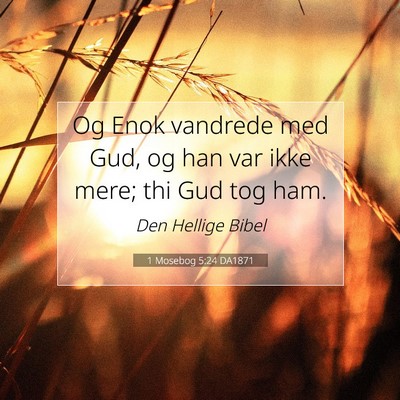 Picture 07 - 1 Mosebog 5:24 DA1871 - Og Enok vandrede med Gud, og han var ikke mere; - Bible Verse Picture