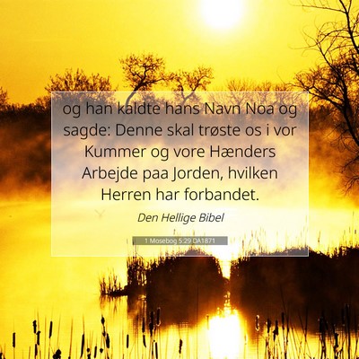 Picture 07 - 1 Mosebog 5:29 DA1871 - og han kaldte hans Navn Noa og sagde: Denne skal - Bible Verse Picture