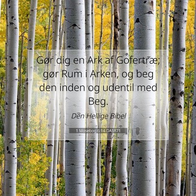 Picture 07 - 1 Mosebog 6:14 DA1871 - Gør dig en Ark af Gofertræ; gør Rum i Arken, - Bible Verse Picture