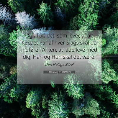 Picture 07 - 1 Mosebog 6:19 DA1871 - Og af alt det, som lever, af alt Kød, et Par af - Bible Verse Picture