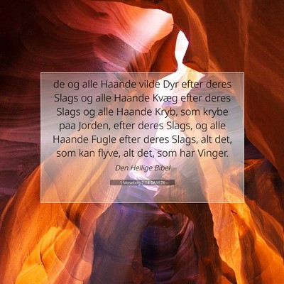 Picture 07 - 1 Mosebog 7:14 DA1871 - de og alle Haande vilde Dyr efter deres Slags og - Bible Verse Picture