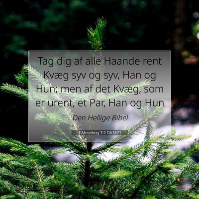 Picture 07 - 1 Mosebog 7:2 DA1871 - Tag dig af alle Haande rent Kvæg syv og syv, Han - Bible Verse Picture