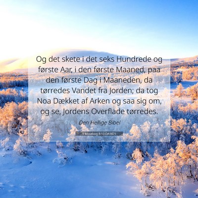 Picture 07 - 1 Mosebog 8:13 DA1871 - Og det skete i det seks Hundrede og første Aar, - Bible Verse Picture