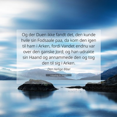 Picture 07 - 1 Mosebog 8:9 DA1871 - Og der Duen ikke fandt det, den kunde hvile sin - Bible Verse Picture
