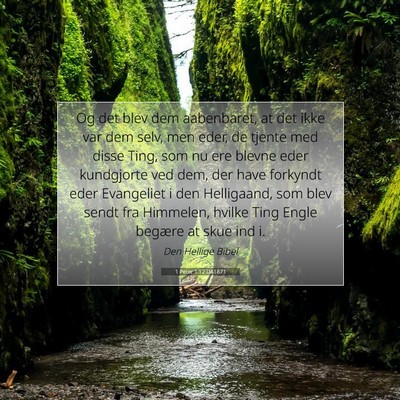 Picture 07 - 1 Peter 1:12 DA1871 - Og det blev dem aabenbaret, at det ikke var dem - Bible Verse Picture