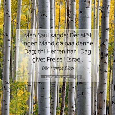 Picture 07 - 1 Samuel 11:13 DA1871 - Men Saul sagde: Der skal ingen Mand dø paa denne - Bible Verse Picture