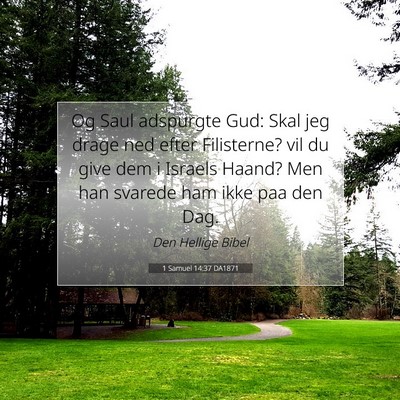 Picture 07 - 1 Samuel 14:37 DA1871 - Og Saul adspurgte Gud: Skal jeg drage ned efter - Bible Verse Picture
