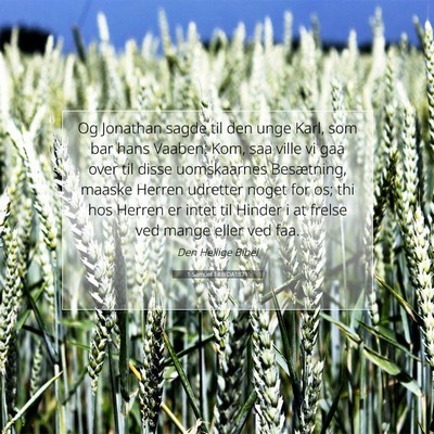 Picture 07 - 1 Samuel 14:6 DA1871 - Og Jonathan sagde til den unge Karl, som bar hans - Bible Verse Picture