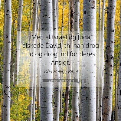 Picture 07 - 1 Samuel 18:16 DA1871 - Men al Israel og Juda elskede David; thi han drog - Bible Verse Picture
