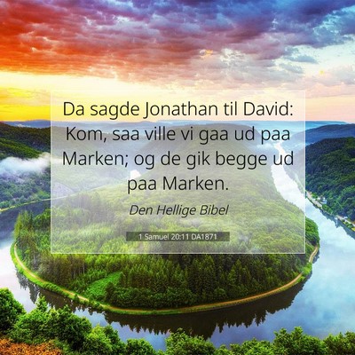 Picture 07 - 1 Samuel 20:11 DA1871 - Da sagde Jonathan til David: Kom, saa ville vi - Bible Verse Picture