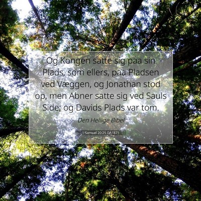 Picture 07 - 1 Samuel 20:25 DA1871 - Og Kongen satte sig paa sin Plads, som ellers, - Bible Verse Picture