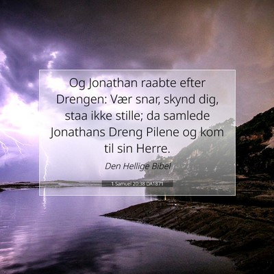Picture 07 - 1 Samuel 20:38 DA1871 - Og Jonathan raabte efter Drengen: Vær snar, - Bible Verse Picture