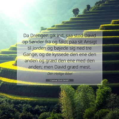 Picture 07 - 1 Samuel 20:41 DA1871 - Da Drengen gik ind, saa stod David op Sønder fra - Bible Verse Picture