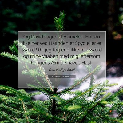 Picture 07 - 1 Samuel 21:8 DA1871 - Og David sagde til Akimelek: Har du ikke her ved - Bible Verse Picture