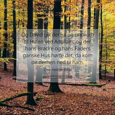 Picture 07 - 1 Samuel 22:1 DA1871 - Og David gik derfra og undkom til Hulen ved - Bible Verse Picture