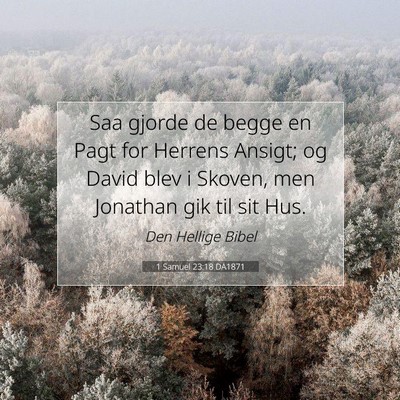 Picture 07 - 1 Samuel 23:18 DA1871 - Saa gjorde de begge en Pagt for Herrens Ansigt; - Bible Verse Picture