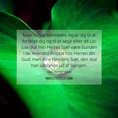 Picture 07 - 1 Samuel 25:29 DA1871 - Naar noget Menneske rejser sig til at forfølge - Bible Verse Picture