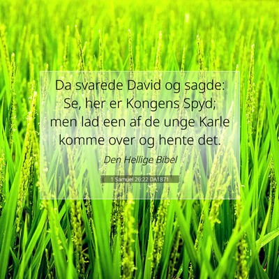 Picture 07 - 1 Samuel 26:22 DA1871 - Da svarede David og sagde: Se, her er Kongens - Bible Verse Picture