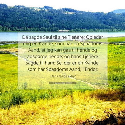 Picture 07 - 1 Samuel 28:7 DA1871 - Da sagde Saul til sine Tjenere: Opleder mig en - Bible Verse Picture