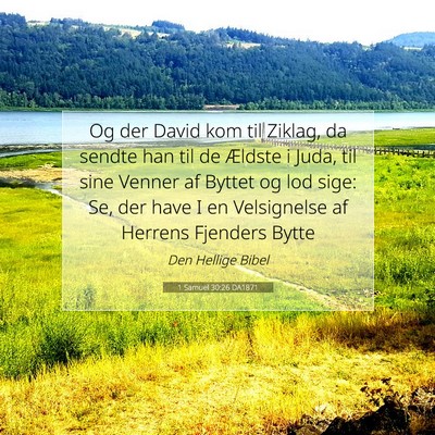 Picture 07 - 1 Samuel 30:26 DA1871 - Og der David kom til Ziklag, da sendte han til de - Bible Verse Picture