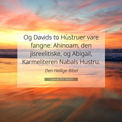Picture 07 - 1 Samuel 30:5 DA1871 - Og Davids to Hustruer vare fangne: Ahinoam, den - Bible Verse Picture