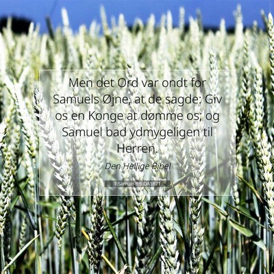 Picture 07 - 1 Samuel 8:6 DA1871 - Men det Ord var ondt for Samuels Øjne, at de - Bible Verse Picture