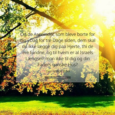 Picture 07 - 1 Samuel 9:20 DA1871 - Og de Aseninder, som bleve borte for dig i Dag - Bible Verse Picture