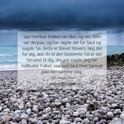 Picture 07 - 1 Samuel 9:24 DA1871 - Saa frembar Kokken en Bov, og det, som var - Bible Verse Picture