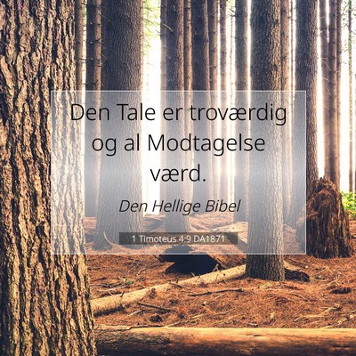 Picture 07 - 1 Timoteus 4:9 DA1871 - Den Tale er troværdig og al Modtagelse - Bible Verse Picture