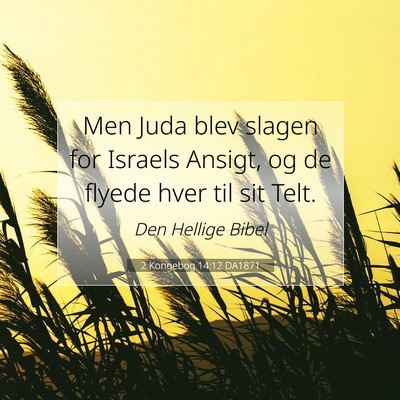 Picture 07 - 2 Kongebog 14:12 DA1871 - Men Juda blev slagen for Israels Ansigt, og de - Bible Verse Picture