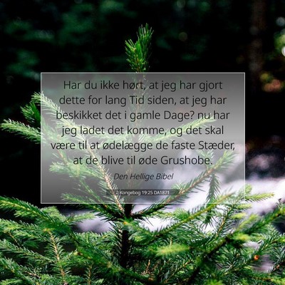 Picture 07 - 2 Kongebog 19:25 DA1871 - Har du ikke hørt, at jeg har gjort dette for - Bible Verse Picture