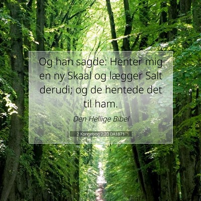 Picture 07 - 2 Kongebog 2:20 DA1871 - Og han sagde: Henter mig en ny Skaal og lægger - Bible Verse Picture