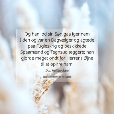 Picture 07 - 2 Kongebog 21:6 DA1871 - Og han lod sin Søn gaa igennem Ilden og var en - Bible Verse Picture