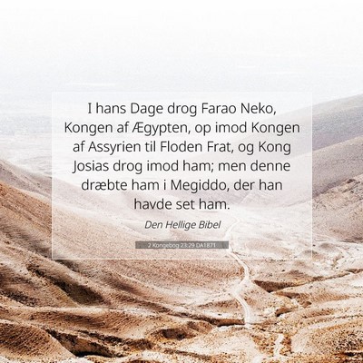 Picture 07 - 2 Kongebog 23:29 DA1871 - I hans Dage drog Farao Neko, Kongen af Ægypten, - Bible Verse Picture