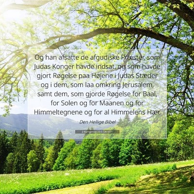 Picture 07 - 2 Kongebog 23:5 DA1871 - Og han afsatte de afgudiske Præster, som Judas - Bible Verse Picture