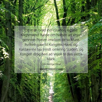 Picture 07 - 2 Kongebog 25:4 DA1871 - Og man brød ind i Staden, og alle Krigsmænd - Bible Verse Picture