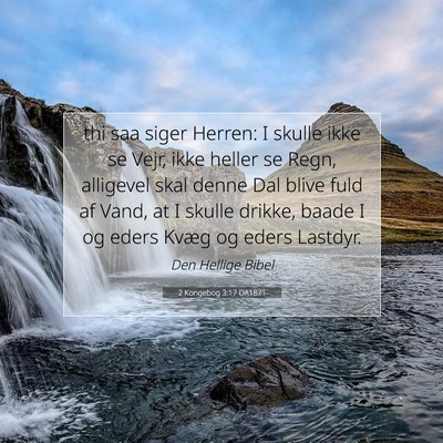 Picture 07 - 2 Kongebog 3:17 DA1871 - thi saa siger Herren: I skulle ikke se Vejr, ikke - Bible Verse Picture