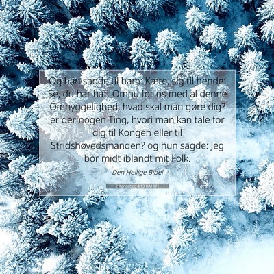 Picture 07 - 2 Kongebog 4:13 DA1871 - Og han sagde til ham: Kære, sig til hende: Se, - Bible Verse Picture
