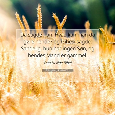 Picture 07 - 2 Kongebog 4:14 DA1871 - Da sagde han: Hvad kan man da gøre hende? og - Bible Verse Picture