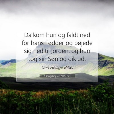 Picture 07 - 2 Kongebog 4:37 DA1871 - Da kom hun og faldt ned for hans Fødder og - Bible Verse Picture