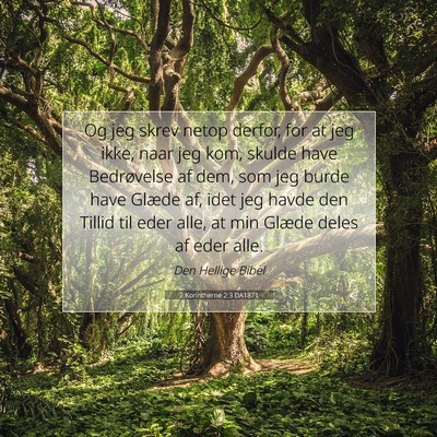 Picture 07 - 2 Korintherne 2:3 DA1871 - Og jeg skrev netop derfor, for at jeg ikke, naar - Bible Verse Picture