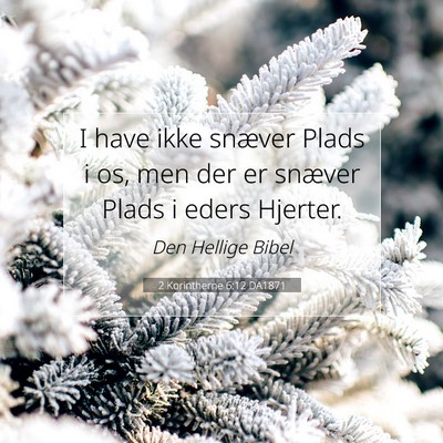 Picture 07 - 2 Korintherne 6:12 DA1871 - I have ikke snæver Plads i os, men der er - Bible Verse Picture